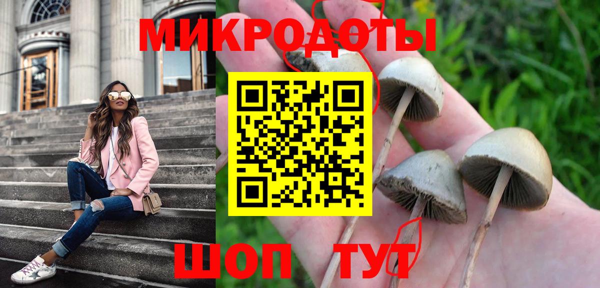 Ивантеевка  купить наркотики цена  Вход с VPN  Галлюциногенные грибы MAGIC MUSHROOMS 